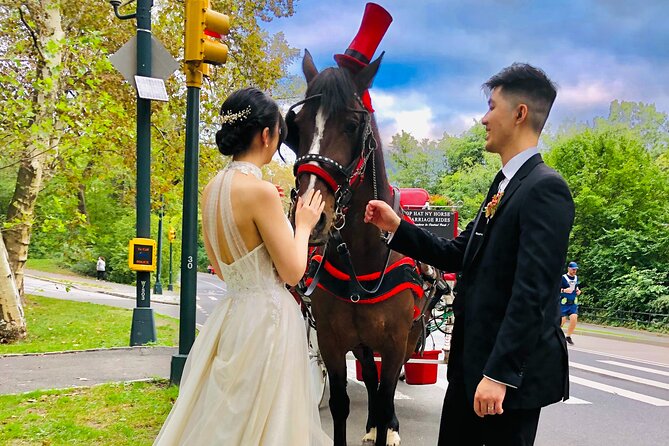 VIP Central Park Champagne Tour with Photos(50 min)~Skip the line - Who this VIP carriage tour is best for