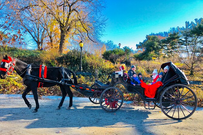 VIP Central Park Experience Tour with photos 50min~Skip the line - The Mall’s Literary Walk, the Balto statue, and the Dakota building
