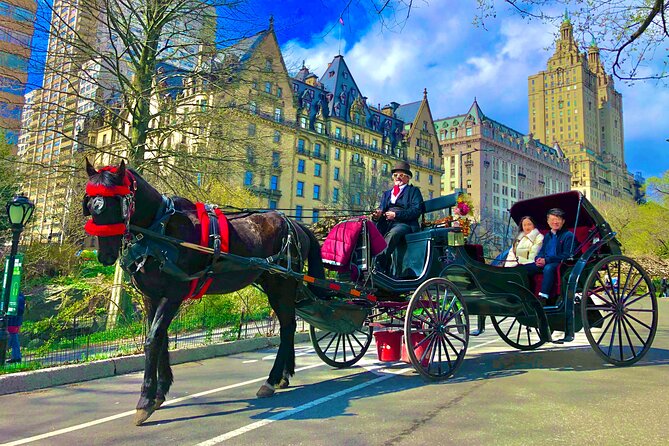 VIP Central Park Experience Tour with photos 50min~Skip the line - The first stretch: ice rink, the Dairy, the Zoo, and Bow Bridge