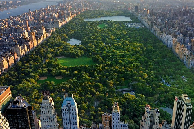 VIP Central Park Pedicab Tour - The Alice in Wonderland Zone: Statues Plus Conservatory Water