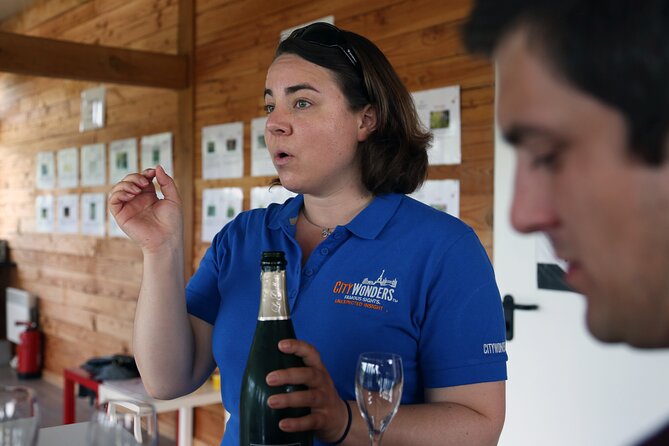 VIP Champagne Region Day Trip with 7 Tastings & Lunch from Paris - Coach, timing, and the small-group feel