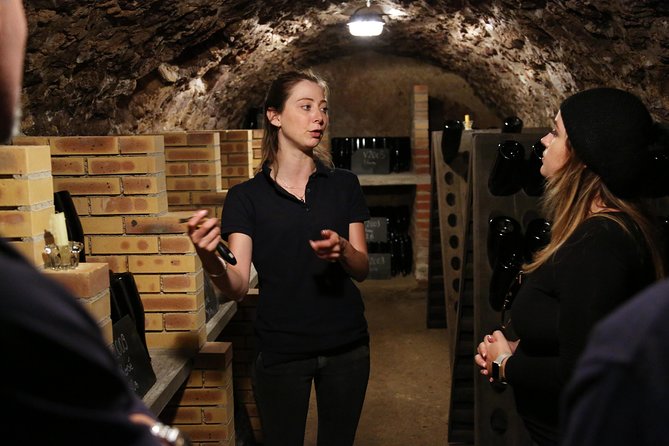 VIP Champagne Region Day Trip with 7 Tastings & Lunch from Paris - The 7 tastings plus the secret local drink: how to handle the day
