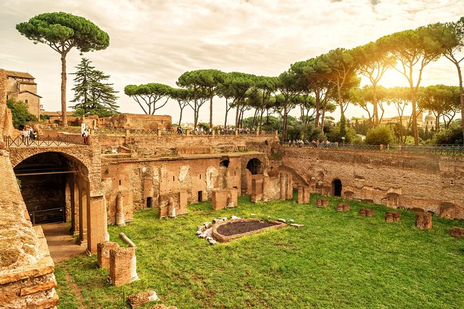 VIP Colosseum & Roman Forum Small Group Guided Tour - Pace and walking: how hard is it, really?