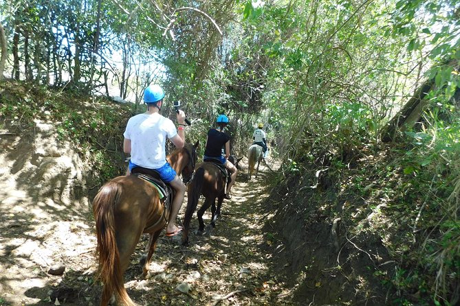 VIP DayPass: ATV, ZipLine, Horse Riding / Shore Excursion & Hotel - Horseback riding: scenic views, clear instructions, and a reality check on comfort