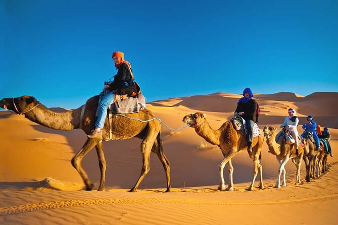 Vip Desert Safari dubai - Dinner and shows: buffet meal plus Tanoura and fire
