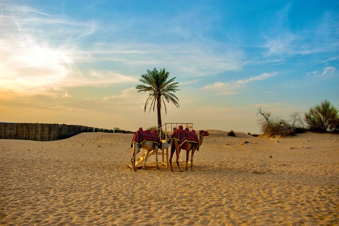 VIP Dubai Desert Safari Camel Ride, Sand Ski, Live BBQ Dinner - VIP Pickup and 4WD Dune Driving to Lahbab