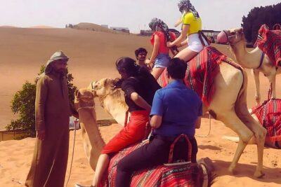 Vip Dubai Desert Safari with Camel Riding,BBQ Dinner - Camp Time in Al Awir: Camel Riding That’s Built for Photos