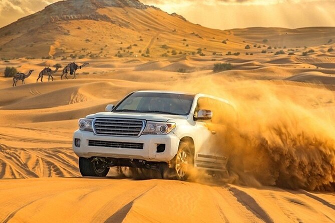 VIP Evening Desert Private Safari Tour in Dubai - VIP 4WD, Pickup Timing, and Why 3:00 pm Works