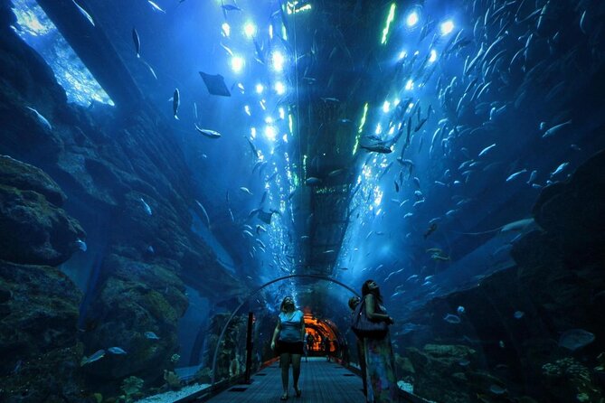 VIP Experience Dubai Aquarium & Underwater Zoo-As per Selection - Key things to know before you go