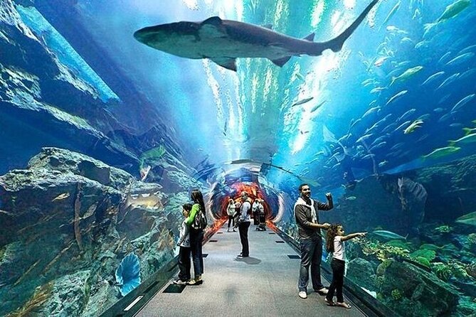 VIP Experience Dubai Aquarium & Underwater Zoo-As per Selection - Logistics that affect your day
