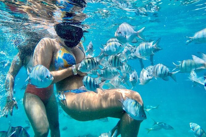VIP Fascinating Boat Ride & Snorkeling at Sosua Bay - Key things to know before you go