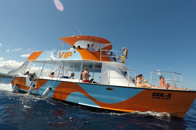 VIP Fascinating Boat Ride & Snorkeling at Sosua Bay - Price and value: why $84.64 can make sense