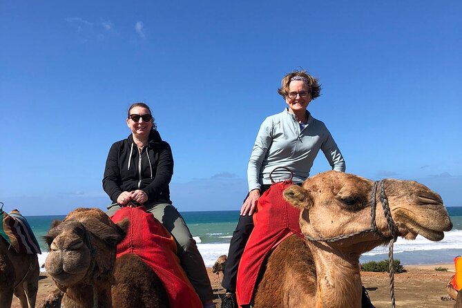 Vip Full Day Private Tangier Tour From Malaga All Inclusive - Tarifa and the ferry crossing: when Morocco begins