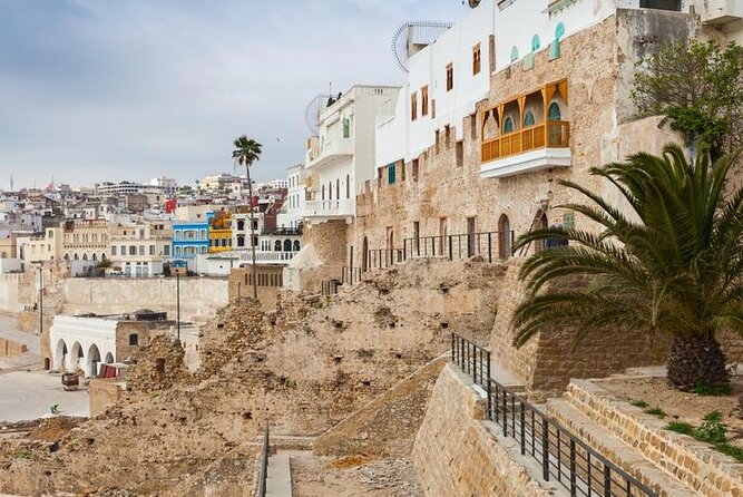 Vip Full Day Private Tangier Tour From Malaga All Inclusive - Guide and service: the difference between a visit and a good day