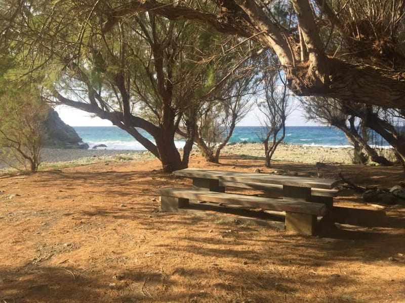 VIP Full-Day Private Tour (See the best with Professionals) - The local taverna stop: dinner, drinks, and real conversation