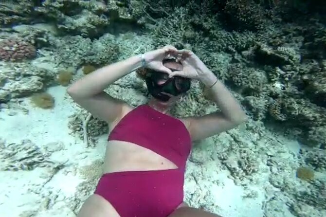 ViP Full Day Swimming With Dolphin Sea Trip With Lunch - Hurghada - The 7-Hour Flow: Hotel Pickup to Red Sea Snorkel Stops