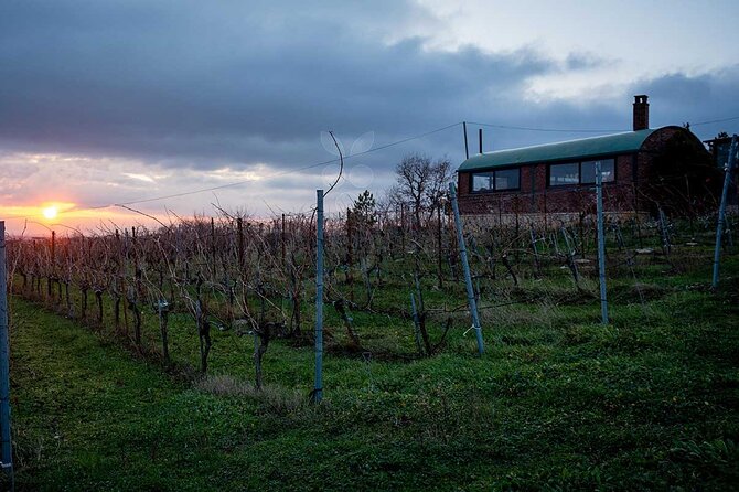 VIP Full Day Wineries Tour from Istanbul - Winery stop vibes: Tours, winemakers, and barrel moments