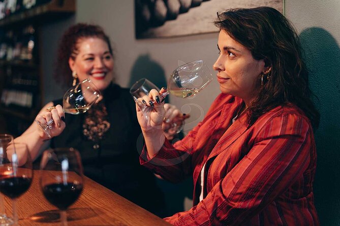 VIP Full Day Wineries Tour from Istanbul - Who this tour fits best (and who should skip it)