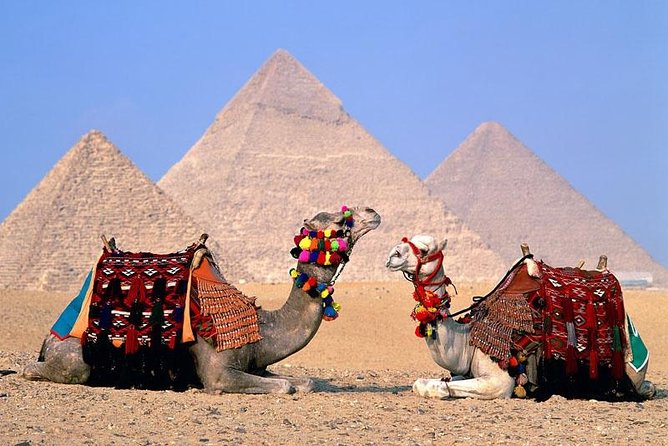 VIP Giza pyramids ,sphinx,Camel ride lunch and inside the pyramid - VIP Giza Pyramids in about 4 hours: what the time really buys you