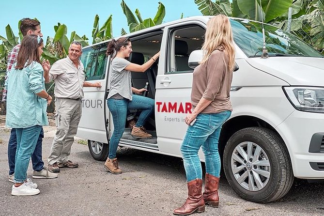 VIP Grand Tour Isla de Tenerife from South Tenerife - Key Things That Make This Tour Worth Your Time
