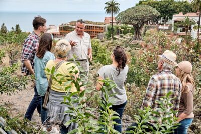 VIP Grand Tour Isla de Tenerife from South Tenerife - Teide National Park: World Heritage Views, With Minimal Extra Planning