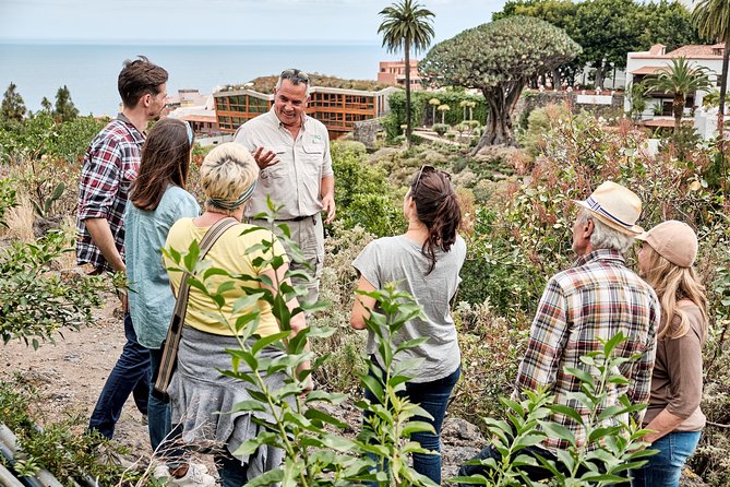 VIP Grand Tour Isla de Tenerife from South Tenerife - Teide National Park: World Heritage Views, With Minimal Extra Planning
