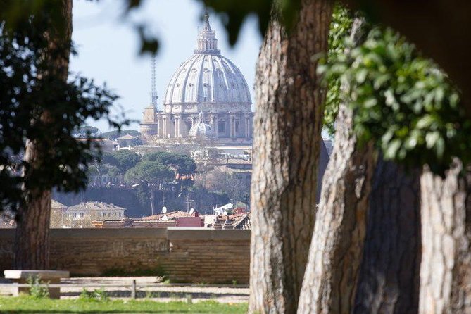 VIP Guided Tour Rome Colosseum, Vatican Museums, lunch included - Order can change: don’t panic if your route flips
