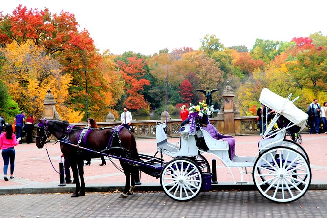 VIP Horse Carriage Ride through Central Park (Up to 4 Adults) - Meet Your Carriage at José Martí Statue