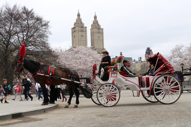 VIP Horse Carriage Ride through Central Park (Up to 4 Adults) - Central Park Zoo + Women’s Rights Pioneers Monument: Surprising Stop Moments