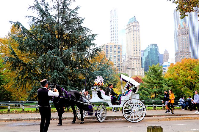 VIP Horse Carriage Ride through Central Park (Up to 4 Adults) - Gapstow Bridge and Bow Bridge: Photo Stops Built for the Water Views
