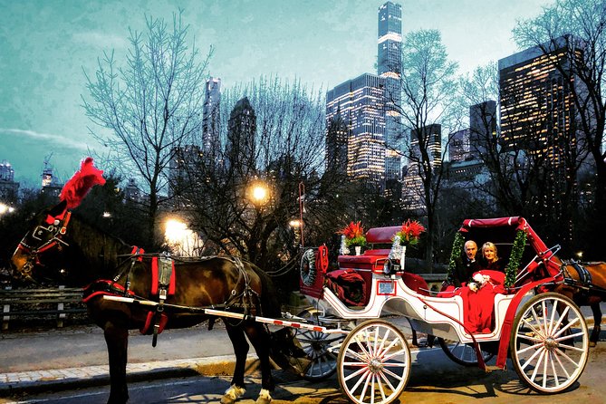 VIP Horse Carriage Ride through Central Park (Up to 4 Adults) - Price and Value: $265 Per Carriage, Not Per Person