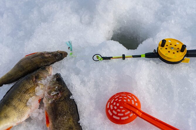 VIP Ice Fishing "ICEBREAKER" Lunch in Glass Igloo - Price and value: what $349.89 buys you besides a chair by a fire