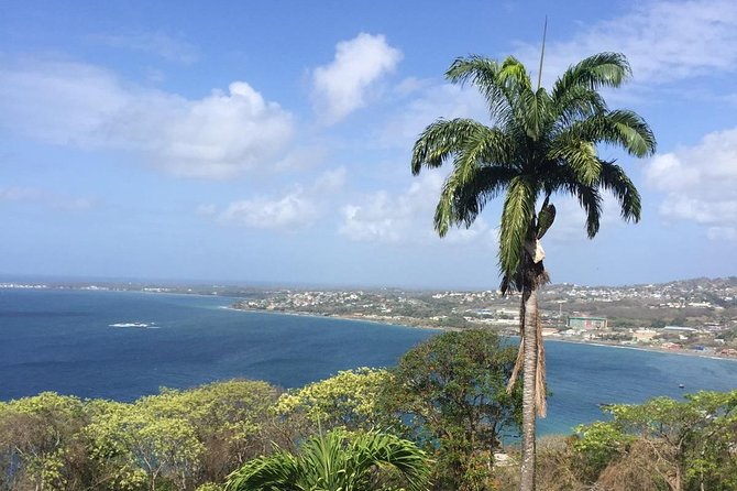 VIP Inclusive Private Tour of Island (Lunch, Drinks + Snorkeling) - A full-day VIP Tobago route (private transport, lunch, and sea time)