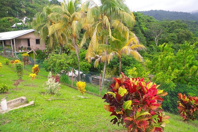VIP Inclusive Private Tour of Island (Lunch, Drinks + Snorkeling) - Englishman’s Bay: a possible extra hour with admission not included