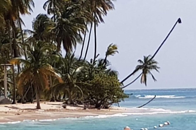 VIP Inclusive Private Tour of Island (Lunch, Drinks + Snorkeling) - Price and logistics: where the $300 per person really comes from