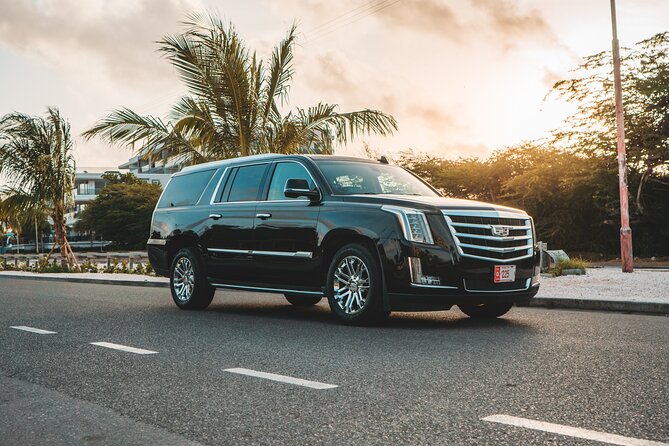 VIP Luxury SUV Airport Transfer - Finding your driver fast after customs at Reina Beatrix
