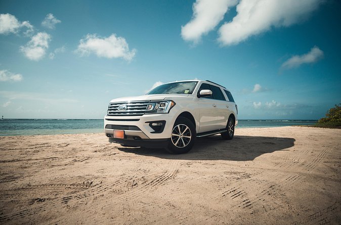 VIP Luxury SUV Airport Transfer - Potential snags: airport walking and last-minute timing
