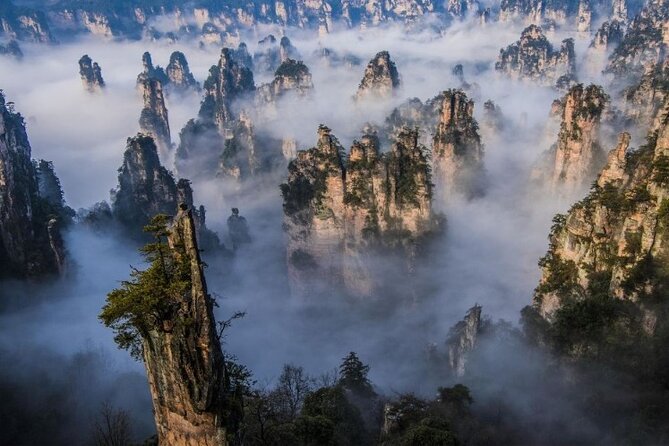 VIP Mini Group:Avatar Mountains & Tianmen Mountain & Glass Bridge - Who This Tour Suits Best (and Who Should Consider Alternatives)