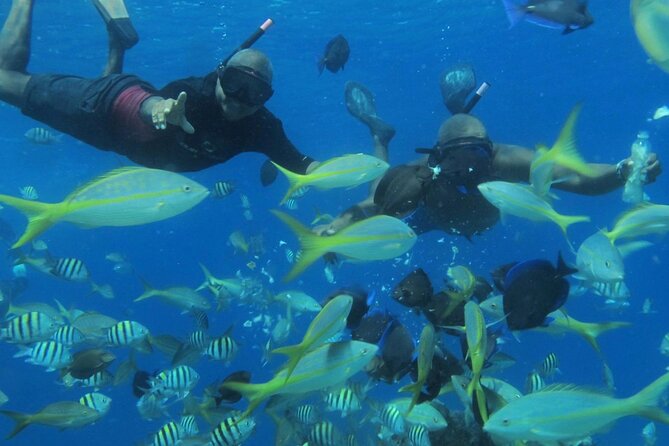 VIP Party Boat & Snorkeling - Getting picked up in Puerto Plata and boarding at Sosua