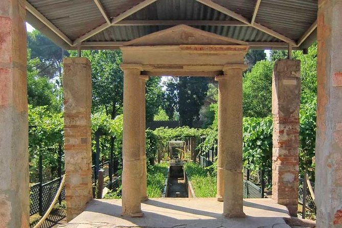 VIP Pompeii Tour including Newly Opened Houses With Archaeologist - Who this tour is best for (and who might want something else)
