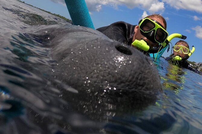 VIP Private Boat Manatee Snorkel Tour with In-Water Guide and Photograper - Key highlights you will actually care about