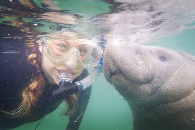 VIP Private Boat Manatee Snorkel Tour with In-Water Guide and Photograper - Where Crystal River turns into manatee country