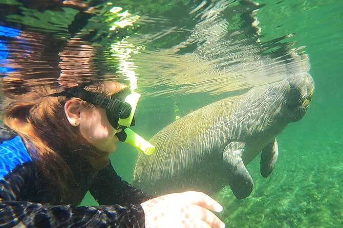 VIP Private Boat Manatee Snorkel Tour with In-Water Guide and Photograper - The VIP in-water flow (about 3 hours)