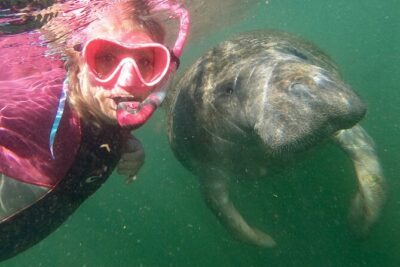 VIP Private Boat Manatee Snorkel Tour with In-Water Guide and Photograper - Salty Siren Tours: the comfort-first start that sets the tone