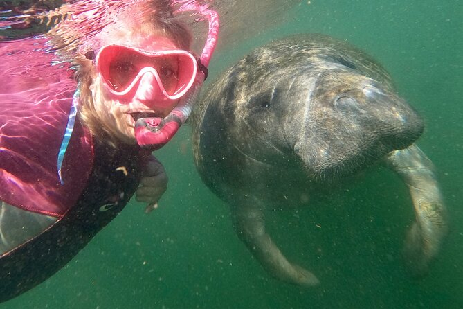 VIP Private Boat Manatee Snorkel Tour with In-Water Guide and Photograper - Salty Siren Tours: the comfort-first start that sets the tone