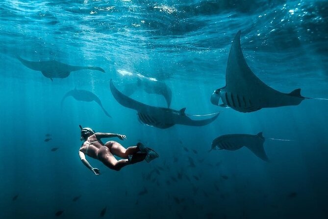 VIP Private Boat to Nusa Penida: Snorkeling with Mantas + Land Tour Adventure - Kelingking Cliff viewpoint: famous, but plan for the time