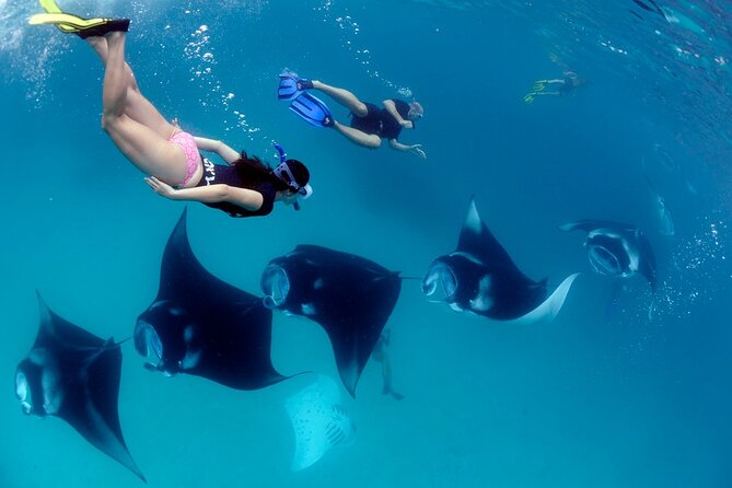 VIP Private Boat to Nusa Penida: Snorkeling with Mantas + Land Tour Adventure - Gamat Bay and Wall Bay Point: reef beauty while you move between areas