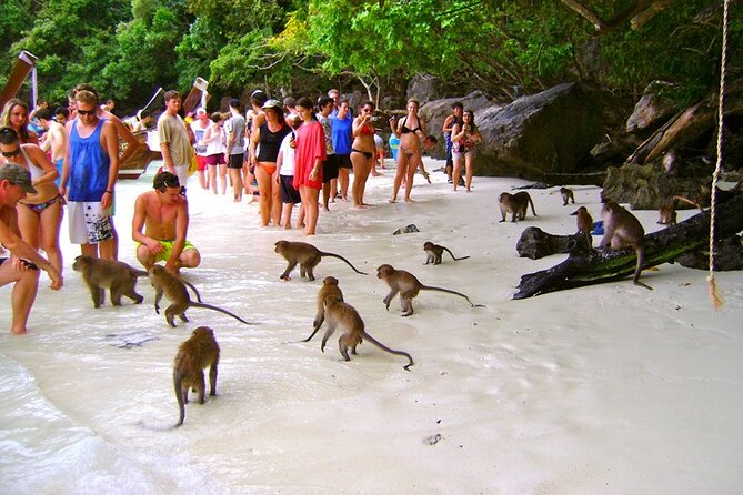 VIP Private Boat to Phi Phi Island: Snorkeling + Land Tour - Maya Bay: The Main Movie-Magic Stop (and a Likely Crowd Factor)
