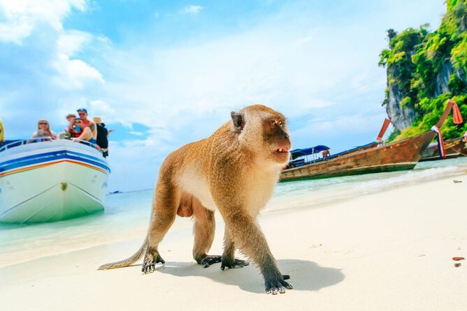 VIP Private Boat to Phi Phi Island: Snorkeling + Land Tour - Camel Rock and Wang Long Beach: The In-Between Photo Stops
