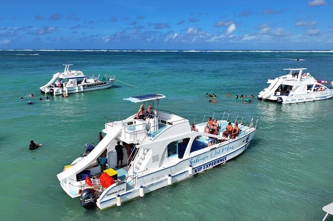 VIP Private Booze Cruise with Live Dj and BBQ in Punta Cana - Key Highlights You’ll Care About